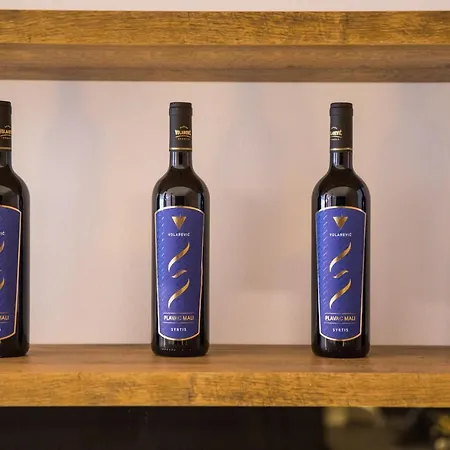 Downtown Oasis Apartment