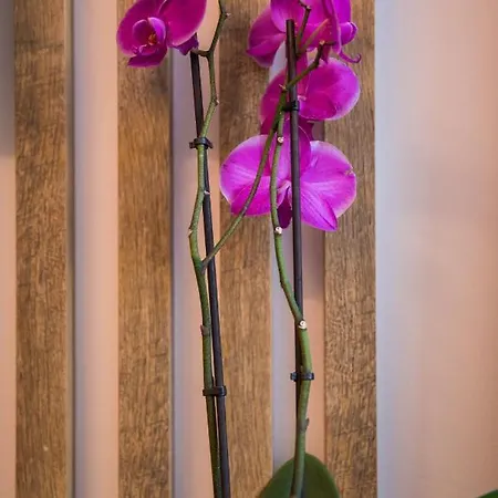 Downtown Oasis Apartamento Dubrovnik