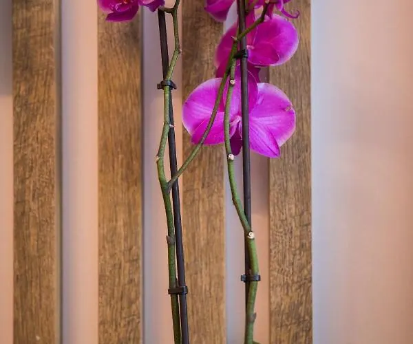 Downtown Oasis Appartamento Ragusa